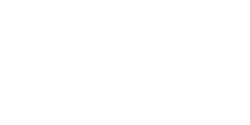 Logotipo Tesoros Sumergidos